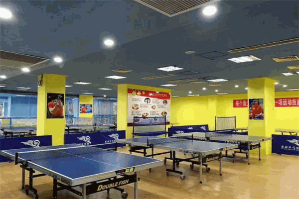 樂旋乒乓