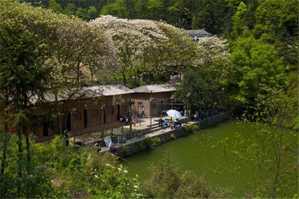 青山農(nóng)家樂