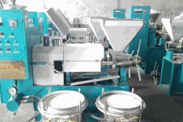 豫星豆腐皮機(jī)