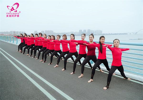 美儷阿薩娜純瑜伽