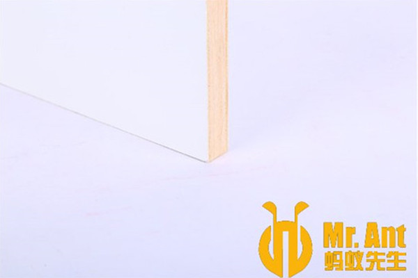 螞蟻先生板材