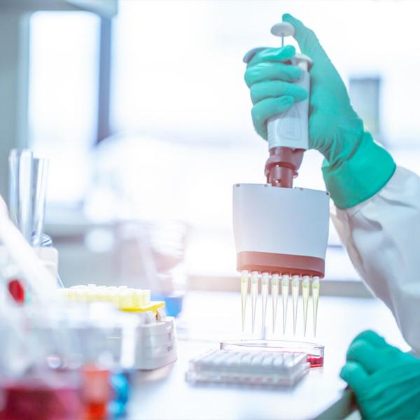 業(yè)務(wù)范圍