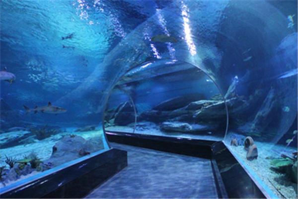 創(chuàng)意水族