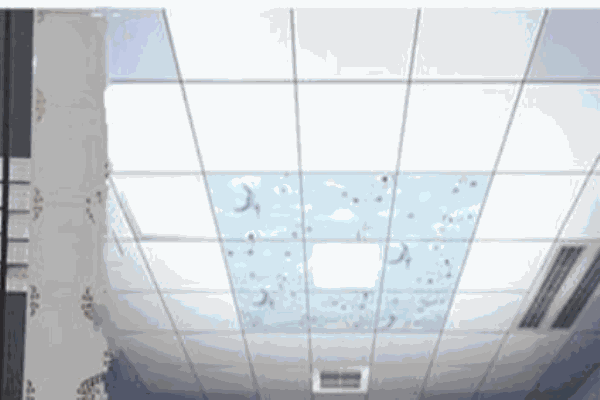 來(lái)頓集成吊頂