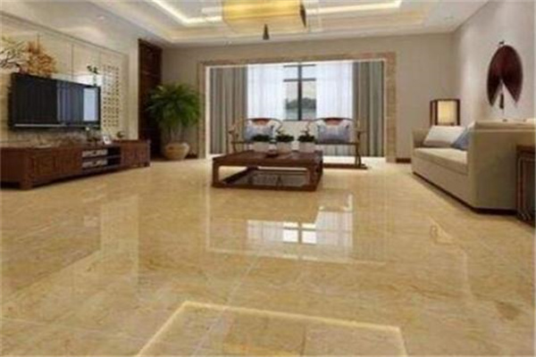 美洲獅發(fā)熱瓷磚