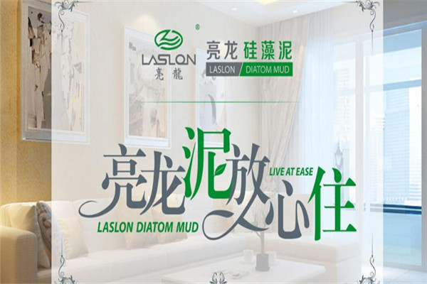 亮龍硅藻泥墻飾