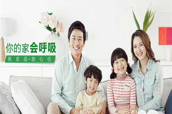 亮龍硅藻泥墻飾