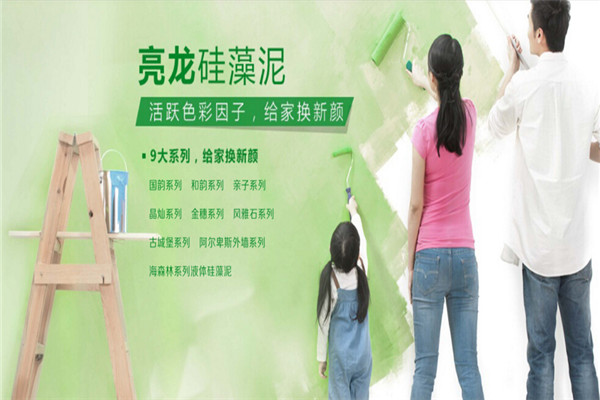 亮龍硅藻泥墻飾