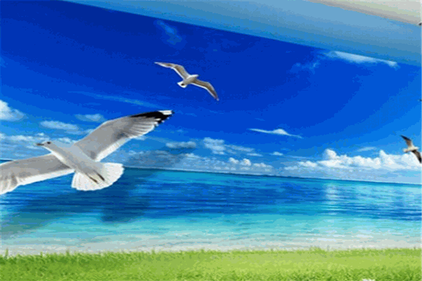 新思路5D玻璃背景墻