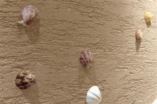 愛(ài)鉑莉硅藻泥