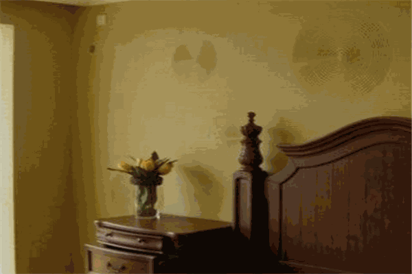 有形有色硅藻泥