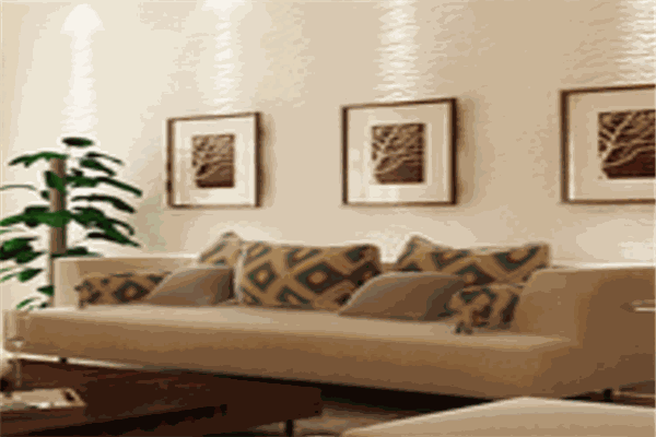 有形有色硅藻泥