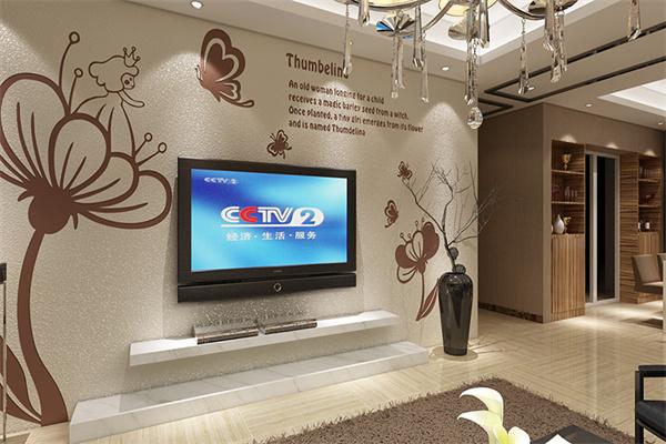 天元瑞泉硅藻泥