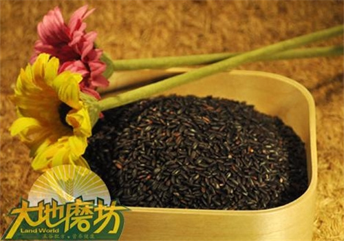 大地磨坊五谷養(yǎng)生