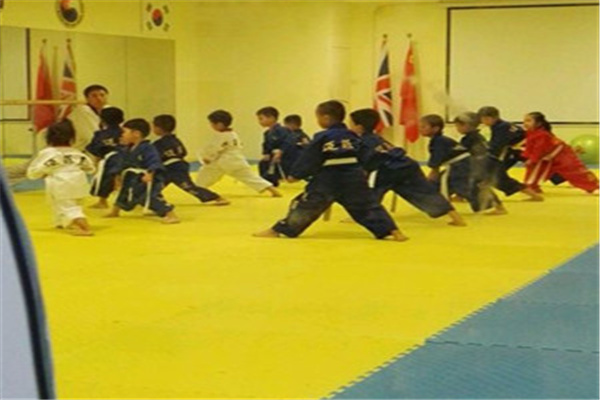 邁菲克國際武道館