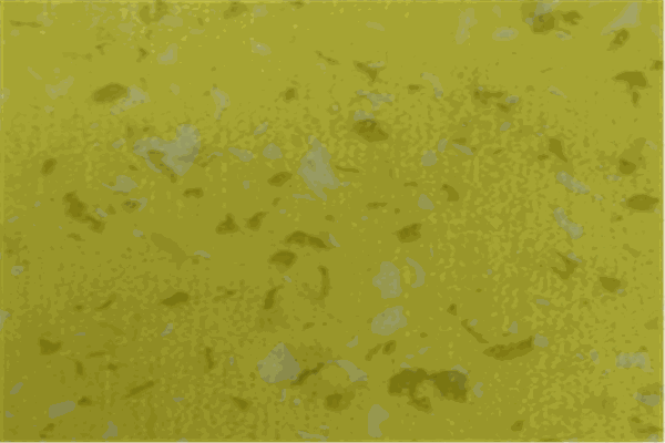 寶麗龍塑膠地板