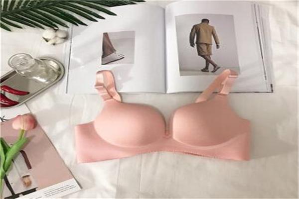 迪詩芬內(nèi)衣