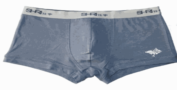 仕睿男士內(nèi)衣