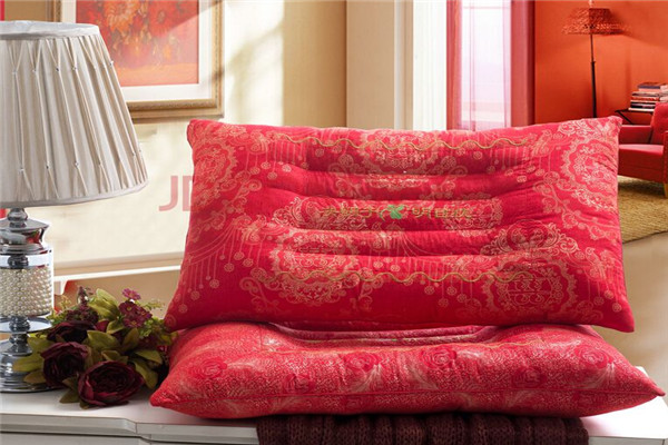 怡百年養(yǎng)生枕