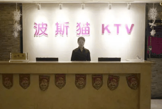 波斯貓KTV