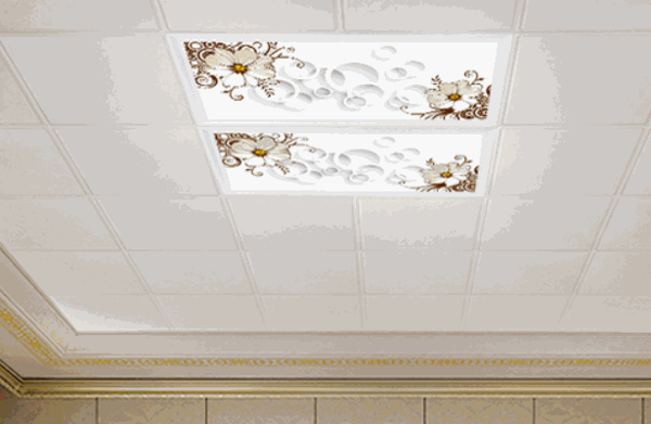 中山視際集成吊頂