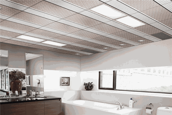 郎高進(jìn)口吊頂