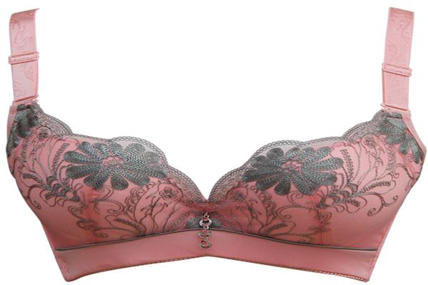 芳奈兒內(nèi)衣