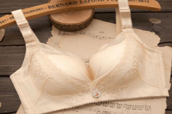 紫婉儀內(nèi)衣