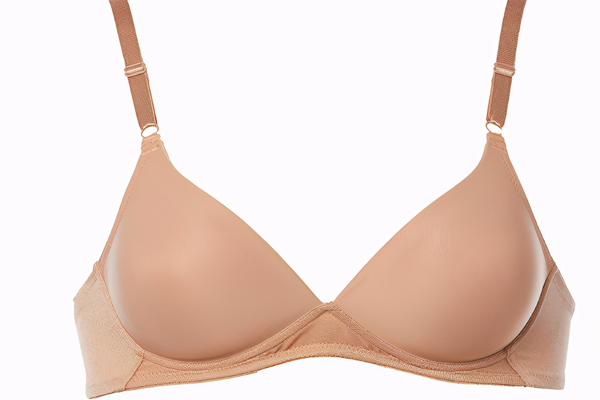 紫婉儀內(nèi)衣