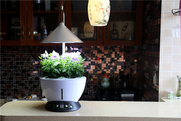 iGrow全自動植物生長機