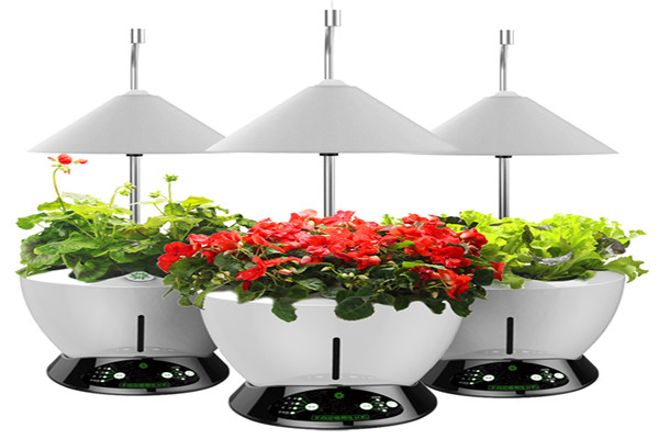 iGrow全自動植物生長機