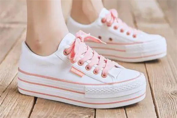 愛(ài)瑪獅丹鞋業(yè)