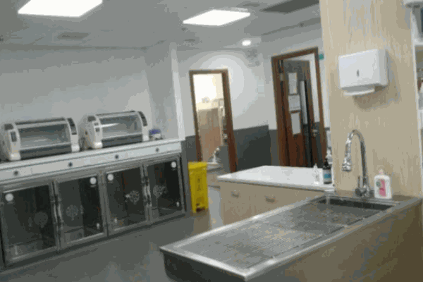 沈醫(yī)生寵物診所