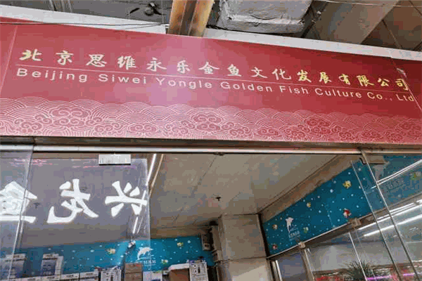 思維永樂(lè)金魚(yú)