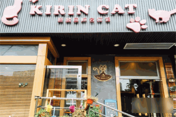 麒麟喵星人俱樂部