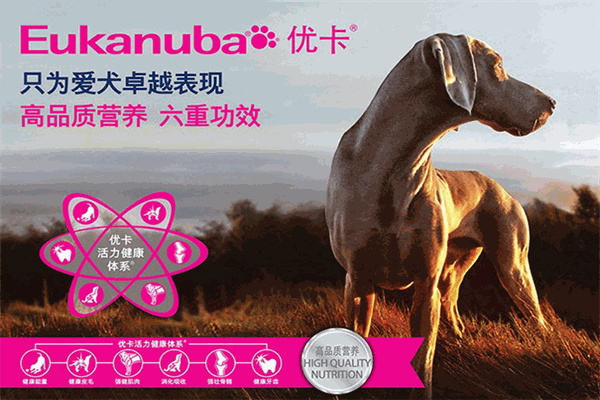 愛慕思優(yōu)卡