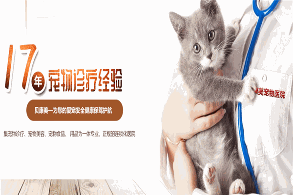 康美寵物醫(yī)院
