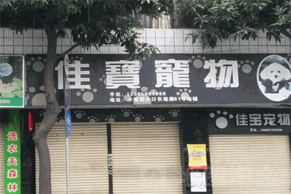 佳寶寵物護(hù)理