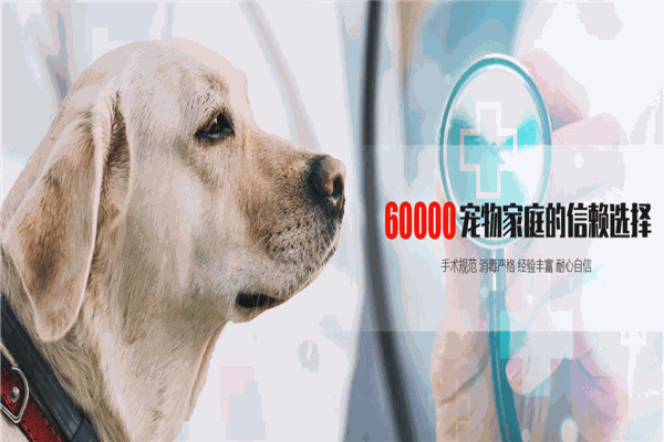 康美寵物醫(yī)院