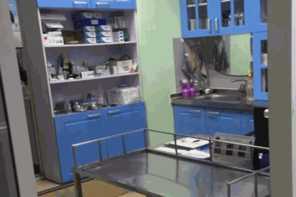 前進(jìn)寵物醫(yī)院