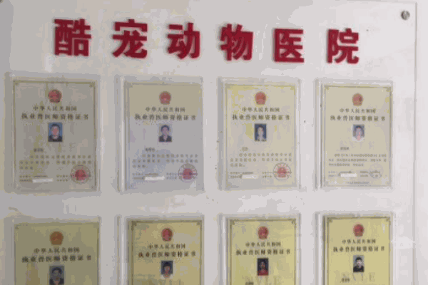 酷寵動物醫(yī)院