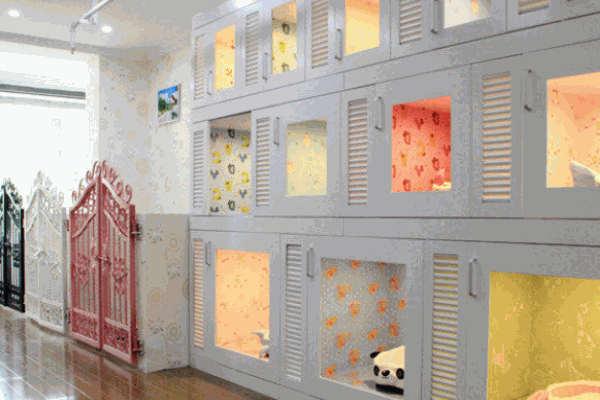 米艾寵物會(huì)所