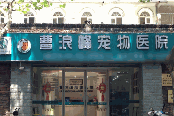 曹浪峰寵物醫(yī)院