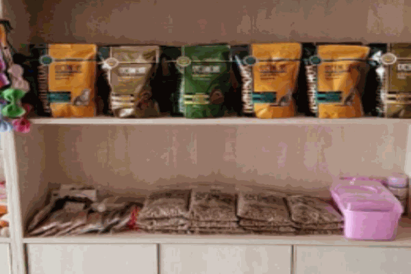 老友狗狗寵物店