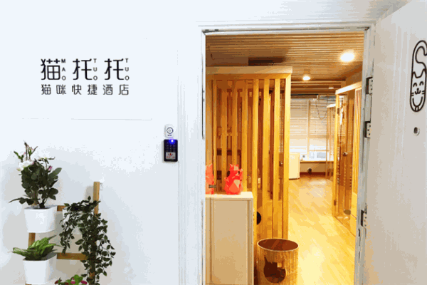 貓托托貓咪快捷酒店