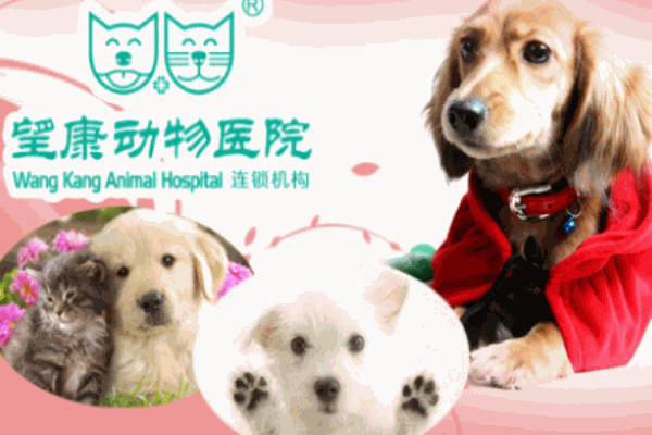 望康動(dòng)物醫(yī)院