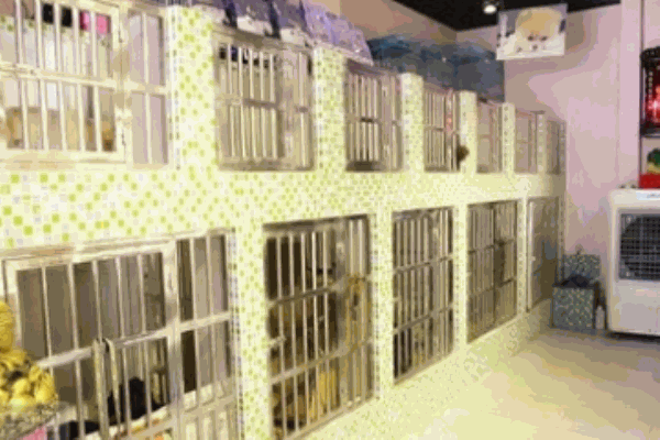 平沙寵物醫(yī)院