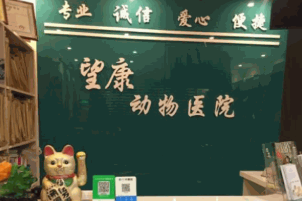 望康動(dòng)物醫(yī)院