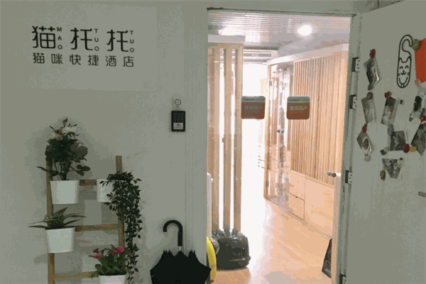 貓托托貓咪快捷酒店