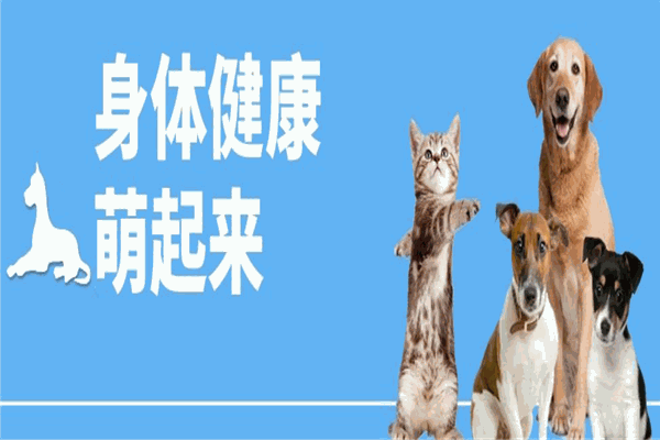 寵康寵物醫(yī)院